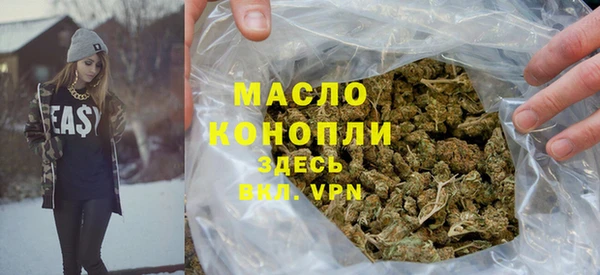 СК Туринск