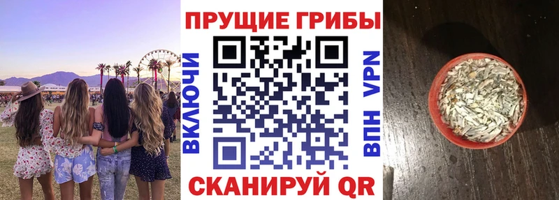 Галлюциногенные грибы MAGIC MUSHROOMS  Дыгулыбгей 