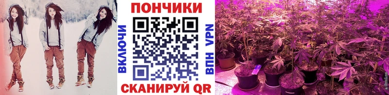 МАРИХУАНА семена  где найти   Дыгулыбгей 